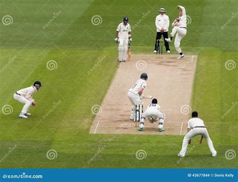 crickexpro|Crickex ™ .